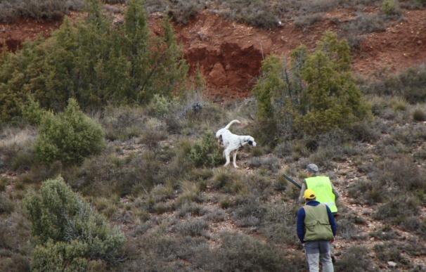 La Oficina Nacional de Caza pide a la CE que declare al lobo especie cinegética también al sur del Duero