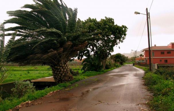 Cae una grúa de construcción sobre una vivienda en Tenerife y obliga a cortar la carretera