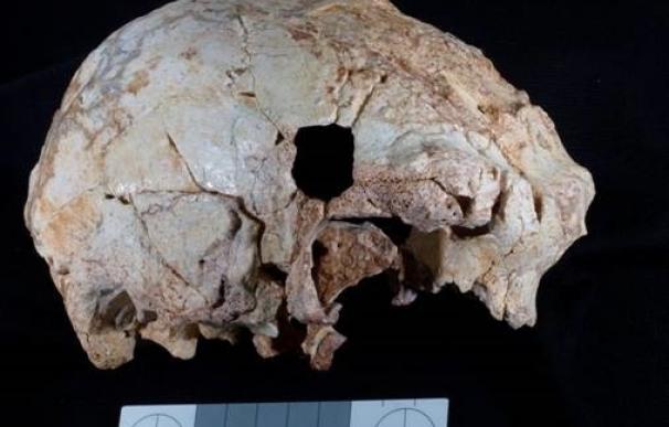 Hallan un cráneo humano fósil de 400.000 años de antigüedad, el más antiguo encontrado en Portugal