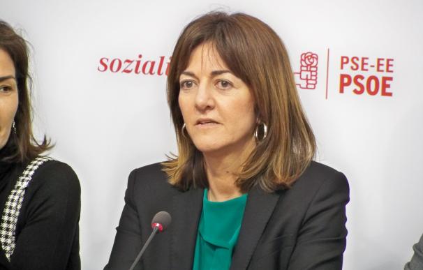 Mendia(PSE) llama a la oposición a colaborar con Gobierno vasco porque no puede "frenar la ola" para transformar Euskadi
