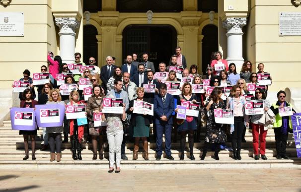 El PSOE critica que De la Torre "sigue sin apostar" por las políticas de igualdad dentro del presupuesto