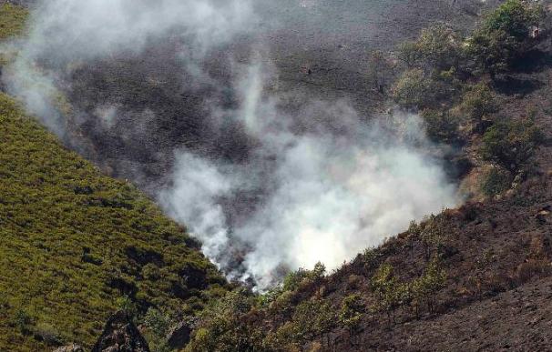 Continúa activo el incendio de Picos de Europa, que mantiene el nivel 1