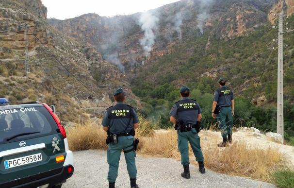 Concluyen las obras de restauración del incendio forestal en la sierra de Almirez (Lorca)
