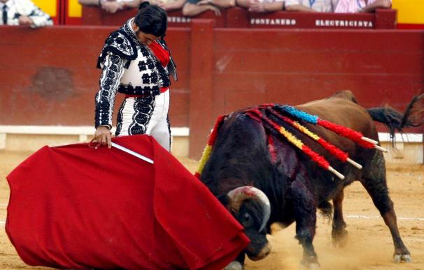 Extremadura rechaza declarar los toros como Bien de Interés Cultural