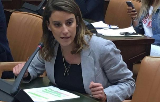Virginia Millán (C's) ofrece "responsabilidad para llevar las necesidades de los sevillanos" al Congreso