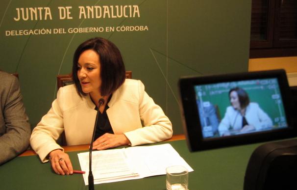 El tejido asociativo crece un 5% en Córdoba y supera las 9.000 entidades inscritas en el Registro de la Junta