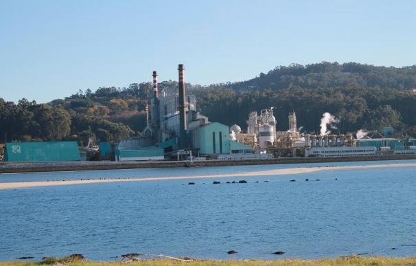 Ence actualiza su plan de inversiones y deja a Pontevedra sin la planta de biomasa y con 49 millones menos en inversión