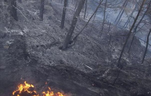 El incendio de Jalón (Alicante) quema 52 hectáreas de matorral y arbolado
