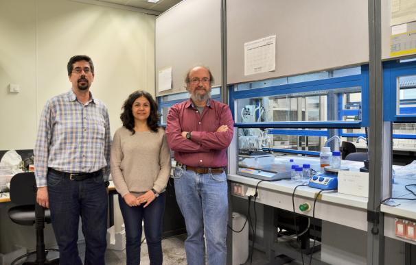Investigadores españoles diseñan un nuevo implante para la regeneración del cartílago articular