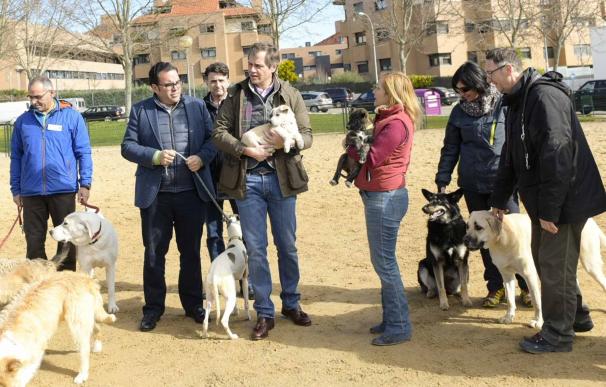 El Ayuntamiento anima a adoptar a las mascotas que se encuentran en el centro de recogida de animales