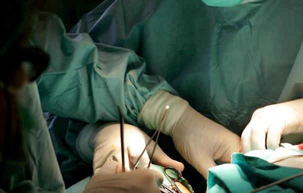Más de 100.000 trasplantes en el mundo en 2010, un 4 por ciento más que en el año anterior