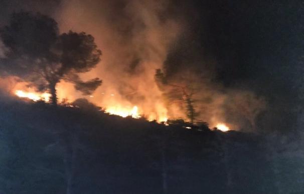 Un petardo provocó anoche un pequeño incendio forestal cerca de Cullera