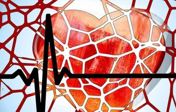 Sanidad aconseja determinar el riesgo cardiovascular a pacientes con VIH para evitar posibles eventos