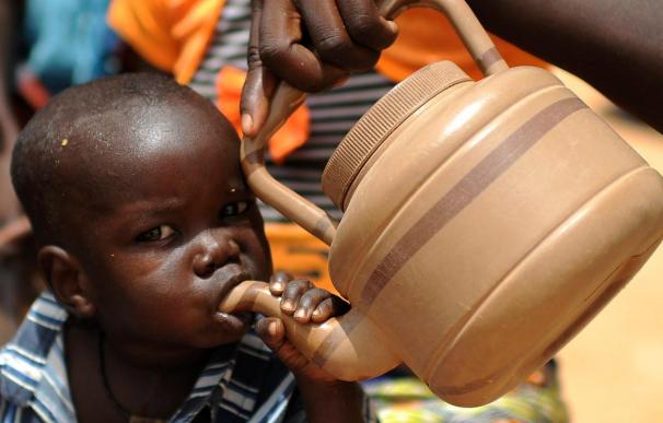 Una de cada ocho personas sufre hambre crónica en el mundo, según la FAO