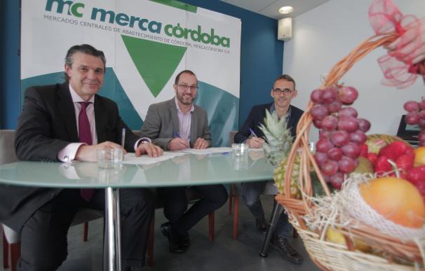Mercacórdoba aprueba las cuentas de 2016 con un beneficio del 5% con más de 191.000 euros