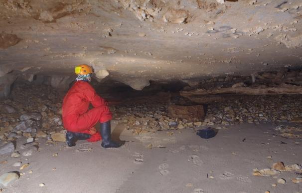 El estudio de la Cueva de Cobiheru desvela cómo era la costa oriental asturiana hace 65.000 años