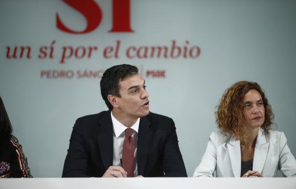 El PSOE se compromete a impulsar una economía verde, el uso "inteligente" de la energía y los recursos naturales