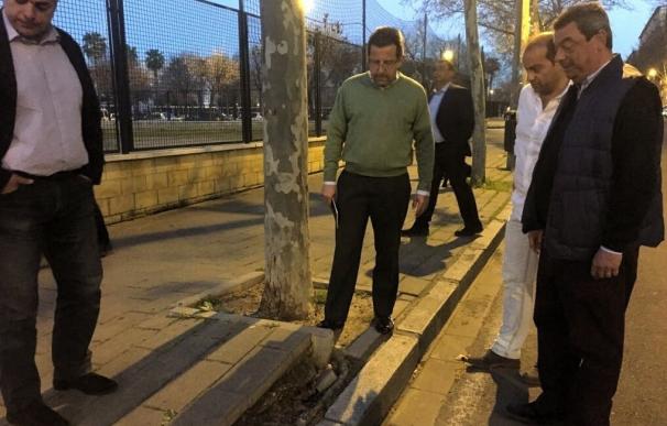 PP lamenta "la falta de mantenimiento y las aceras destrozadas" de las plazas de los Amarres en Sevilla Este