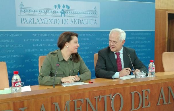 PP-A acusa a Susana Díaz de "traicionar" el Estatuto por su "incapacidad de gestión" con el impuesto de sucesiones