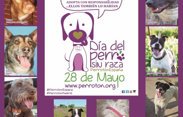Perrotón, Adif, Tres60.multimedia y Grupo Zeta fomentarán la adopción de canes el sábado, en el Día del Perro sin Raza