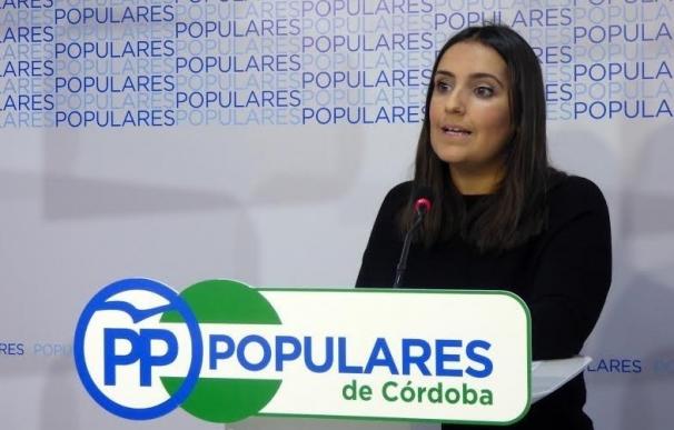El PP de Córdoba pide al PSOE abandonar el 'no' a los PGE para evitar la pérdida de empleo público