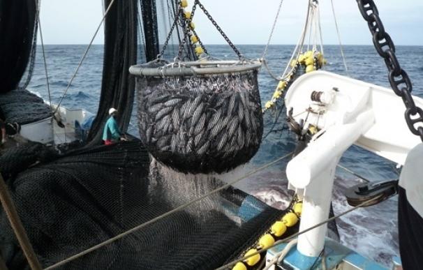 La flota atunera española y WWF presentan a la ONU un proyecto para mejorar la pesquería sostenible de túnidos