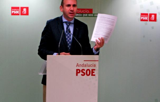 PSOE señala a Rajoy como "máximo responsable" de la candidatura de Ángeles Muñoz al Senado