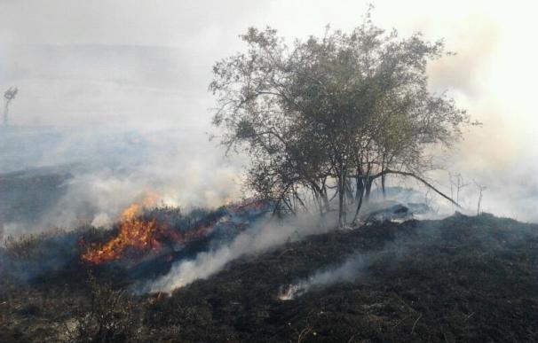 Nueve incendios activos en Cantabria