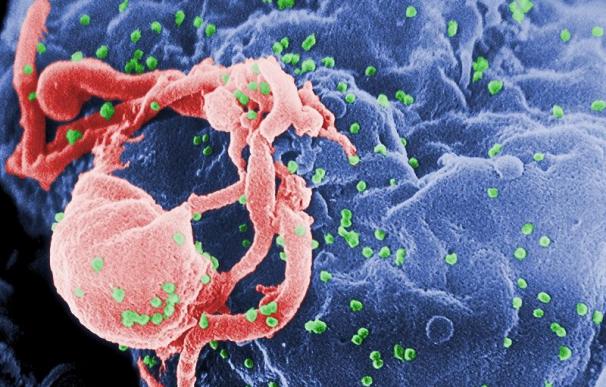 El uso de una vacuna contra el VIH puede mejorar el efecto de los medicamentos