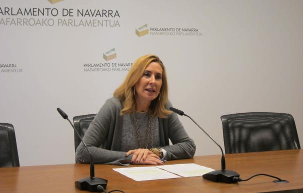 Beltrán pide la dimisión de Ollo por "mentir" en la Cámara sobre los invitados al acto de víctimas de extrema derecha
