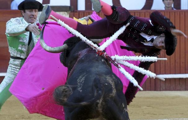 El Fandi corta una oreja en Málaga y el banderillero Curro Robles es corneado