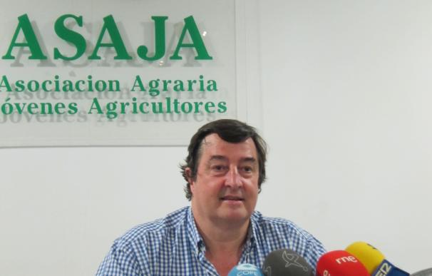 Asaja denunciará a la Junta de Extremadura si no toma medidas para erradicar la tuberculosis bovina
