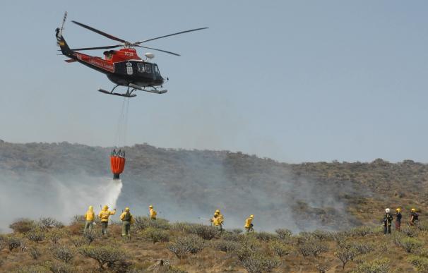 La campaña contra incendios de La Palma contará con más de 300 efectivos y 20 vehículos