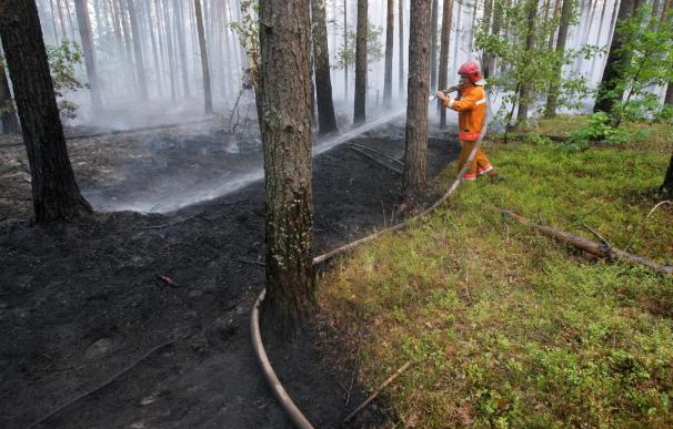 Disminuye la superficie de bosques afectada por los incendios en Rusia