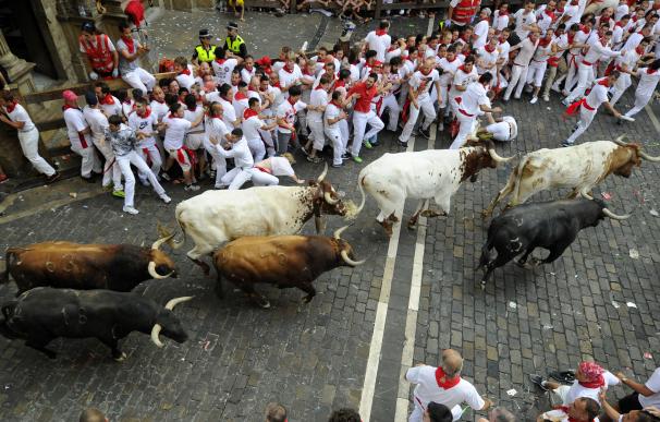 San Fermín 2015: Los toros de Jandilla en el encierro del martes 7 de julio