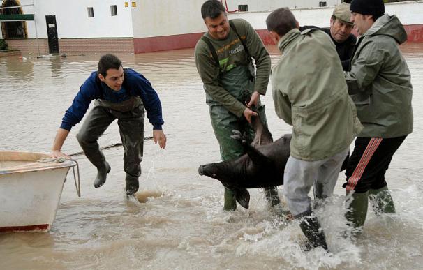 La lluvia obliga al desalojo preventivo de 46 personas en Arcos y Jerez