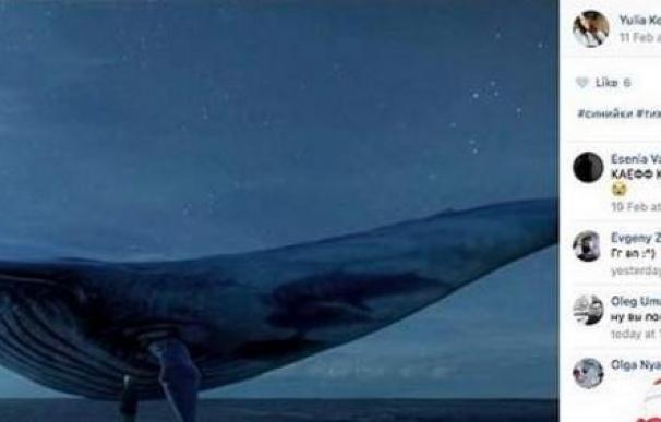 La ballena, un símbolo que no falta en los grupos de la muerte.