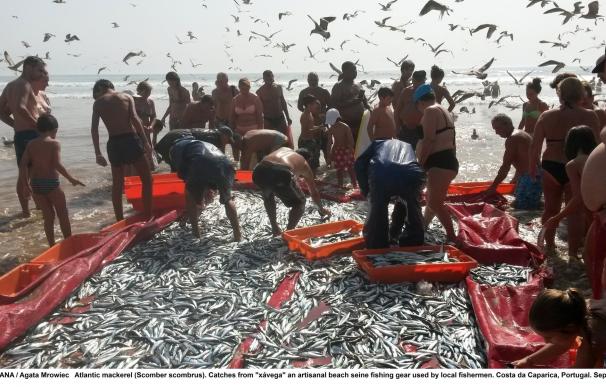 Oceana califica de "histórico" la declaración 'Malta MedFish4Ever' de países del mediterráneo para mejorar la pesca