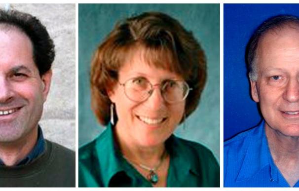 Tres bioquímicos dedicados a combatir el dolor ganan el premio de Investigación