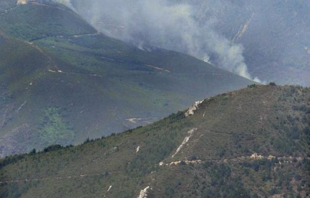 Continúa activo el incendio de Barjas (León) tras arrasar 270 hectáreas