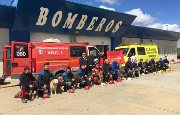 El Consorcio de Bomberos acoge las pruebas de homologación para perros de rescate por el método Arcón