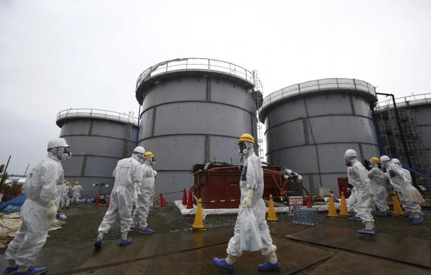 Concluye la retirada del combustible de la piscina del reactor 4 de Fukushima