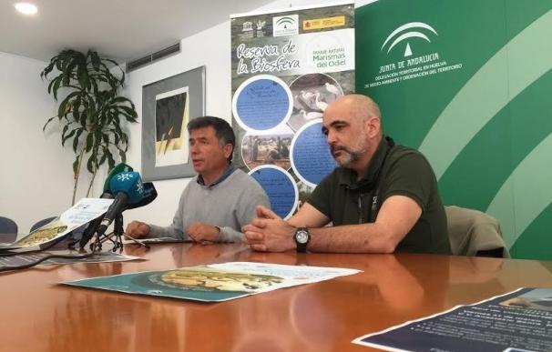 Junta pone en marcha 15 iniciativas de participación en Marismas del Odiel y litoral occidental
