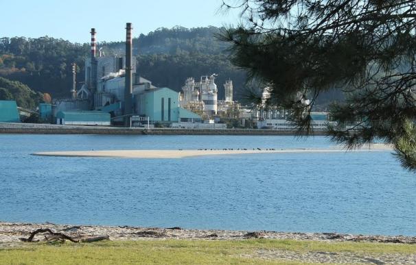 Ence dice que la planta de biomasa en Pontevedra "queda fuera del horizonte del plan estratégico actual" por los plazos