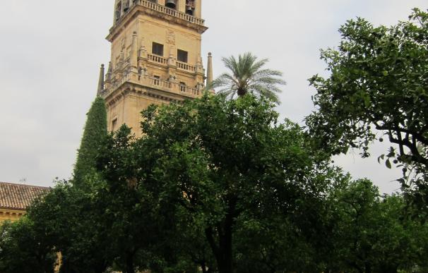 La torre de la Mezquita-Catedral y la fachada del Hotel Córdoba Center lucirán de morado este jueves