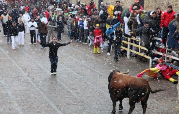 La nieve, principal invitada a un encierro en Ciudad Rodrigo sin incidentes