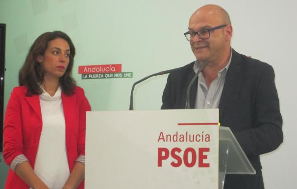 El PSOE cifra el déficit municipal en 2015 en 60,5 millones y eleva la deuda a 700 millones