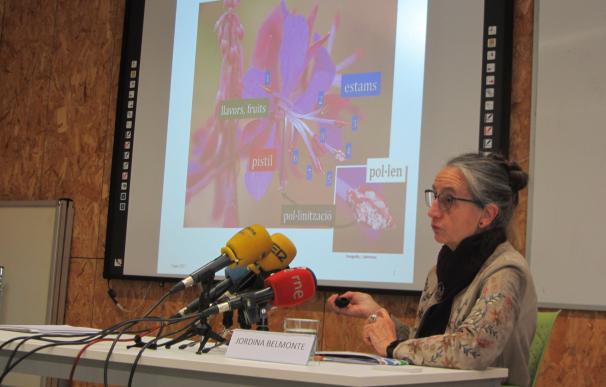 Alertan de que las alergias aumentarán en Catalunya y requerirán atención médica