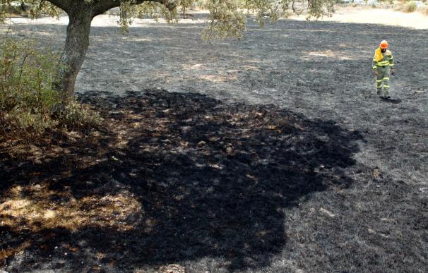 Un fuego en Burgos quema doce hectáreas de arbolado, pasto y cereal