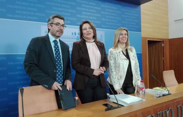 PP-A exige a Susana Díaz que "ponga fecha" a un debate general sobre Andalucía, transcurridos seis meses del último